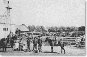 Dairying operations south of Dominguez Hill on the Carson estate, 1902