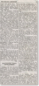 Article on South Gate development in the 'Southgate Gardener', 1919