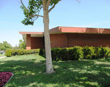 Angelo M. Iacoboni Library