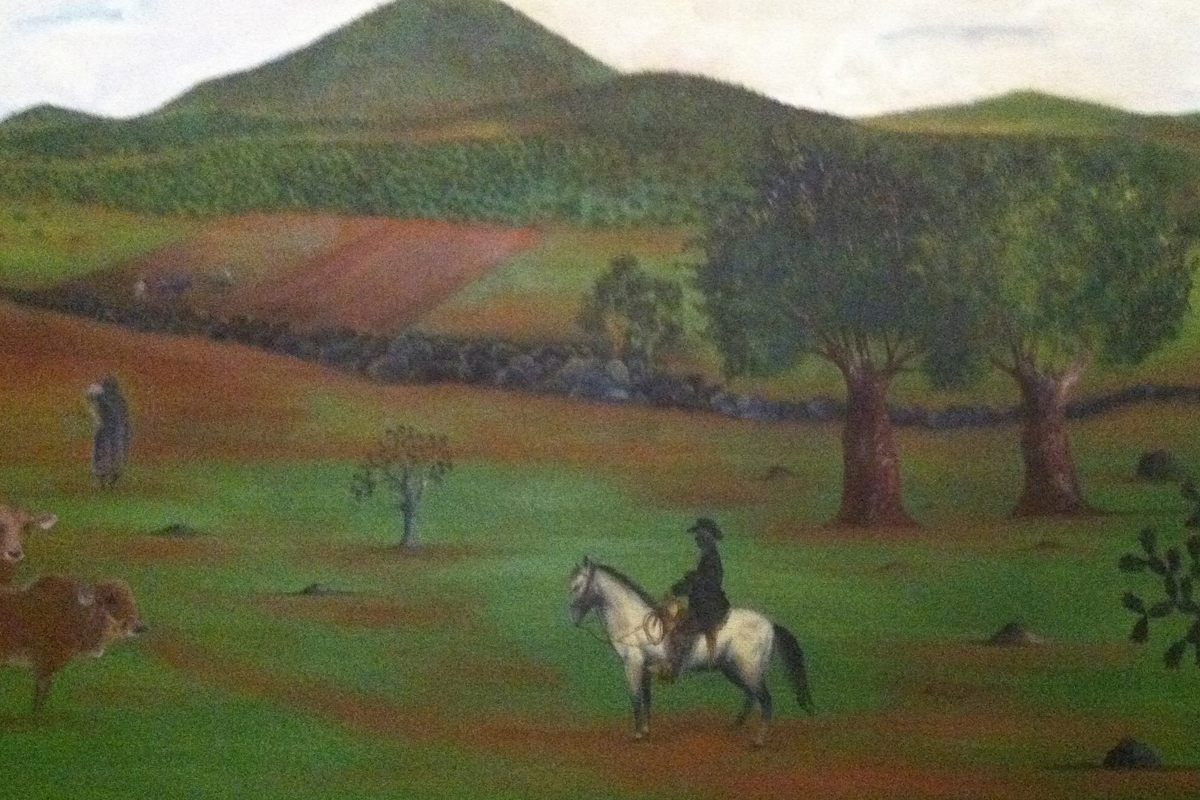 C J Salgado Story Illustration