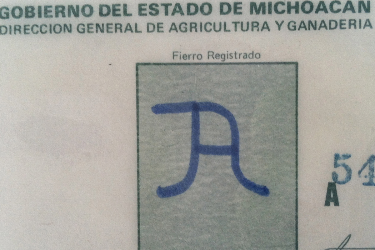 Image for Charro Story by Salgado