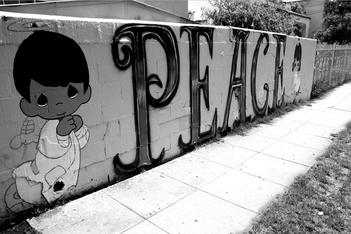 Image for Warriors Story by Fabiola